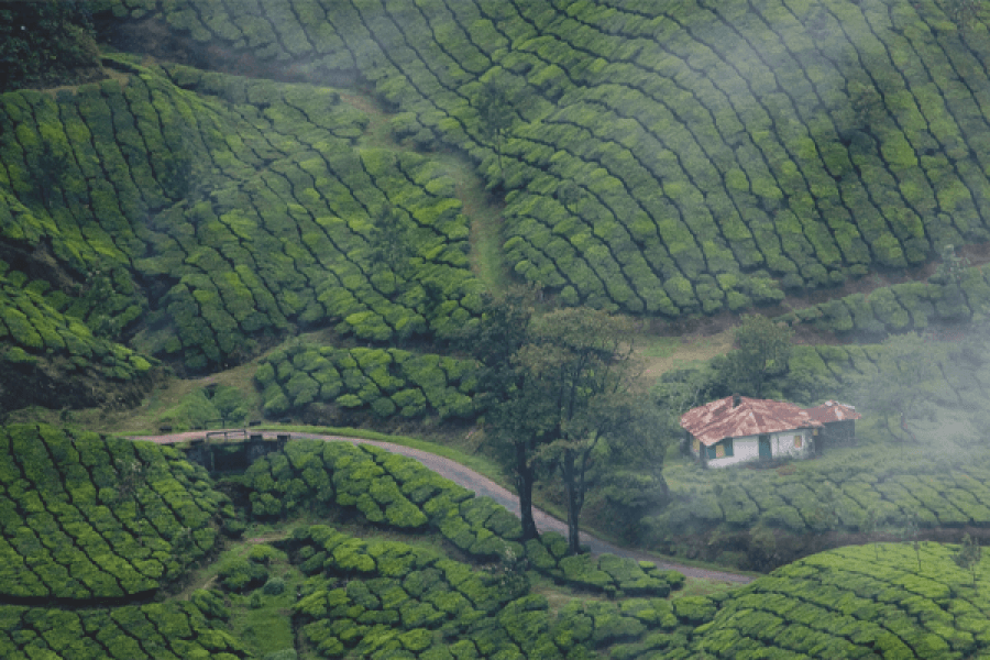 Discover Kerala: Waterfalls, Wildlife, and Timeless Heritage!