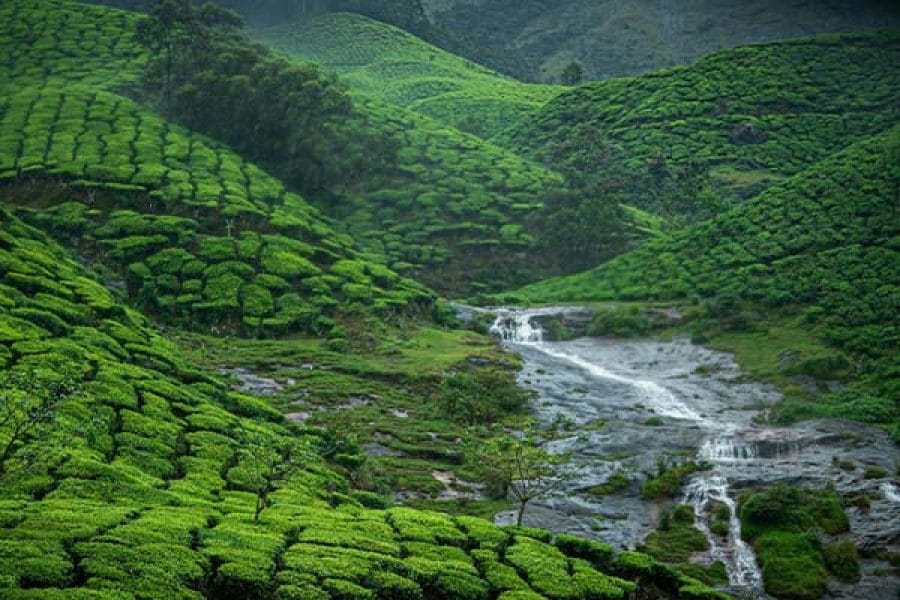 Kerala Delight: A 4-Day Escape Through Waterfalls, Tea Gardens, and Historic Charm